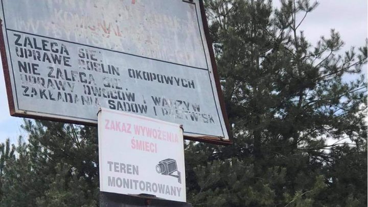 Eko wywiad z&nbsp;Radną Grażyną Rycerską